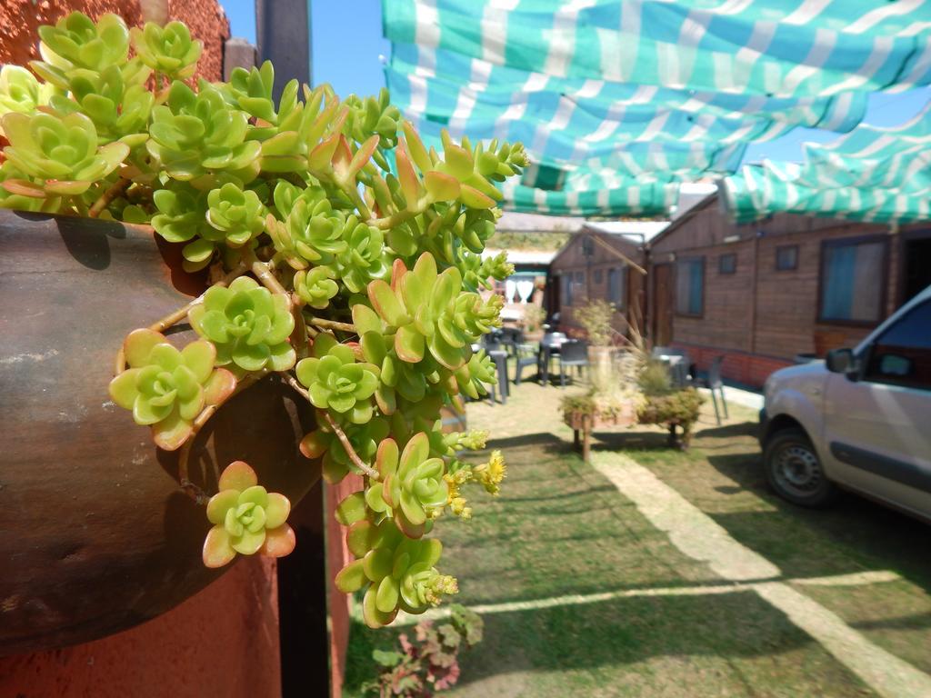 Hostal Del Suri Cafayate Exterior photo